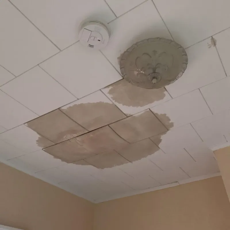 Ceiling Water Damage Repair in Rutherford College, NC