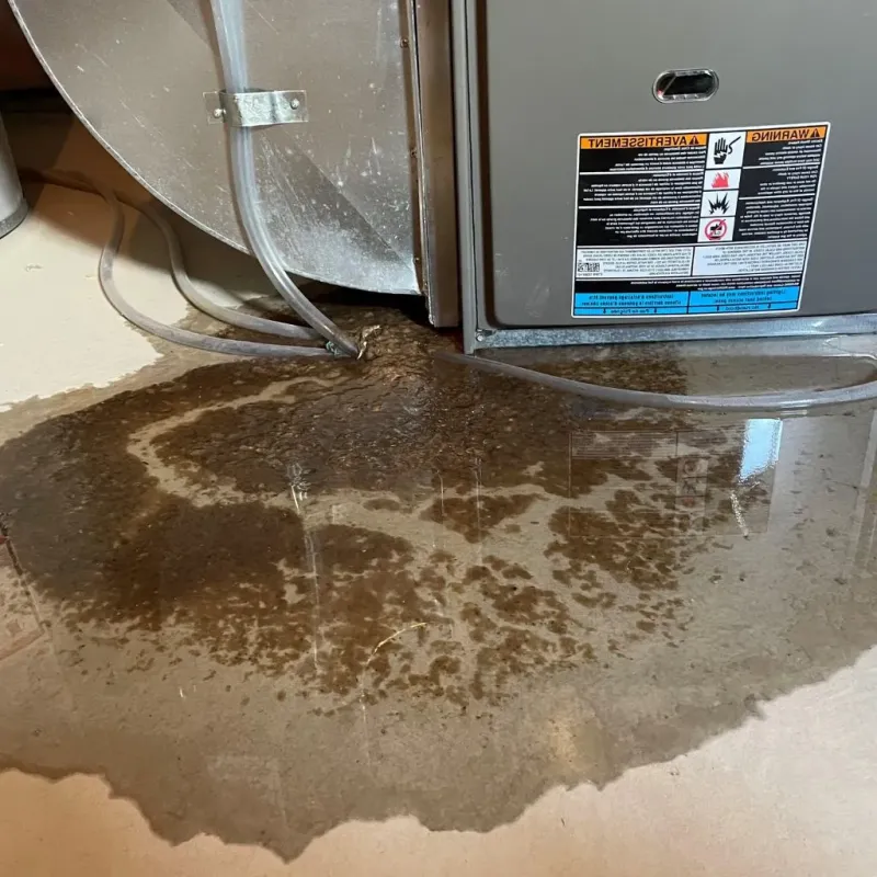 Pipe Burst and Leak Restoration in Rutherford College, NC